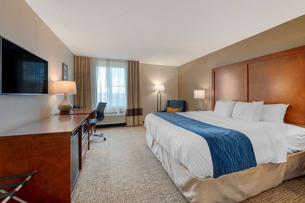 Suite, 1 King Bed with Sofa bed, Accessible, Non Smoking (Efficiency) - Photo 1