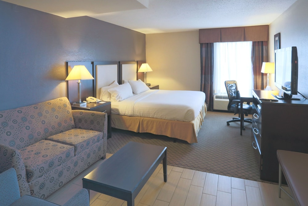 Suite, 1 King Bed - Photo 1