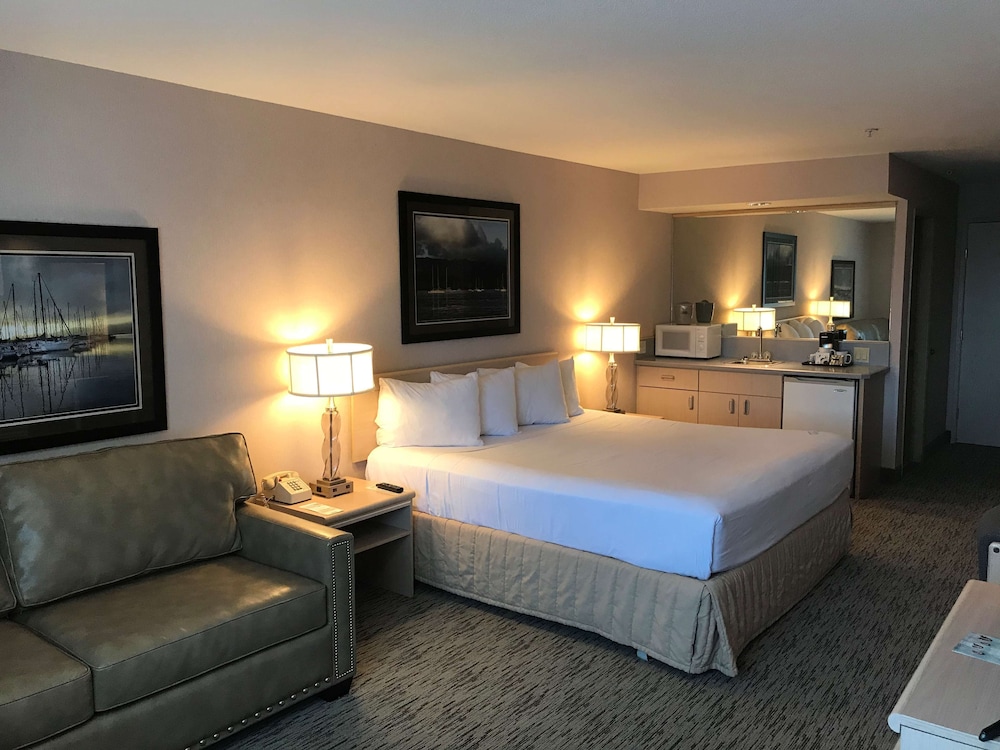 Suite, 1 King Bed photo 1