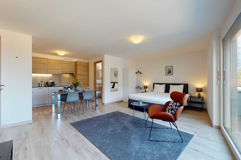 Basic Apartment, 1 Queen Bed