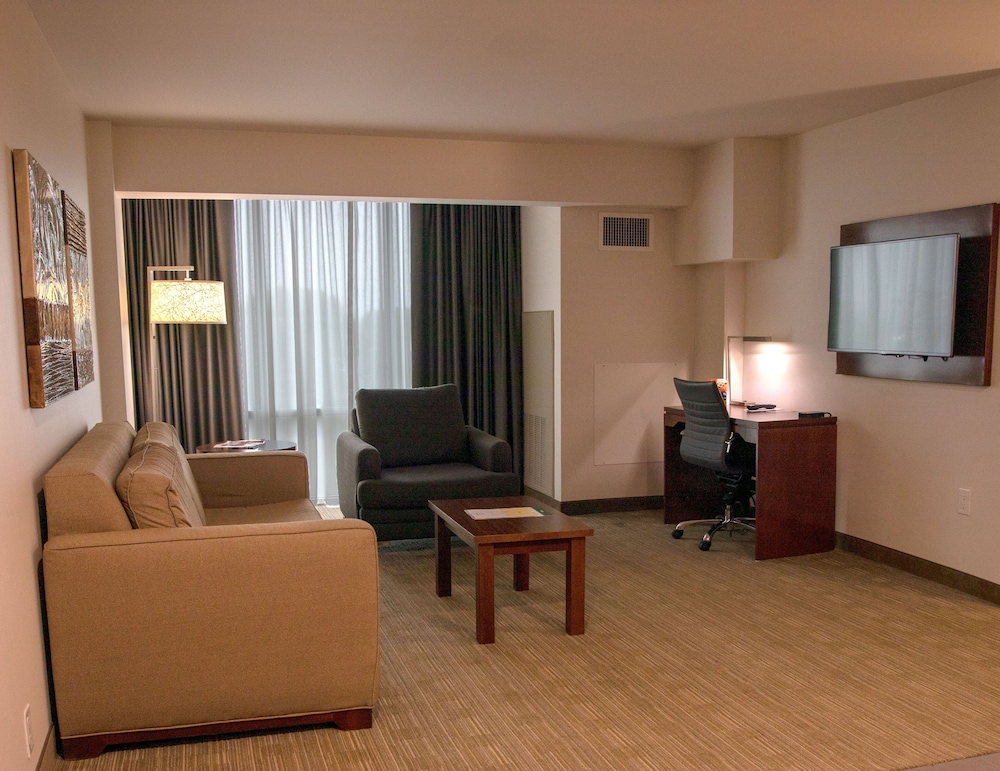 Suite, 1 Queen Bed, Accessible - Photo 3