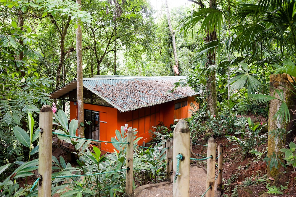 Standard Bungalow, 2 Double Beds, Kitchenette, River View photo 3