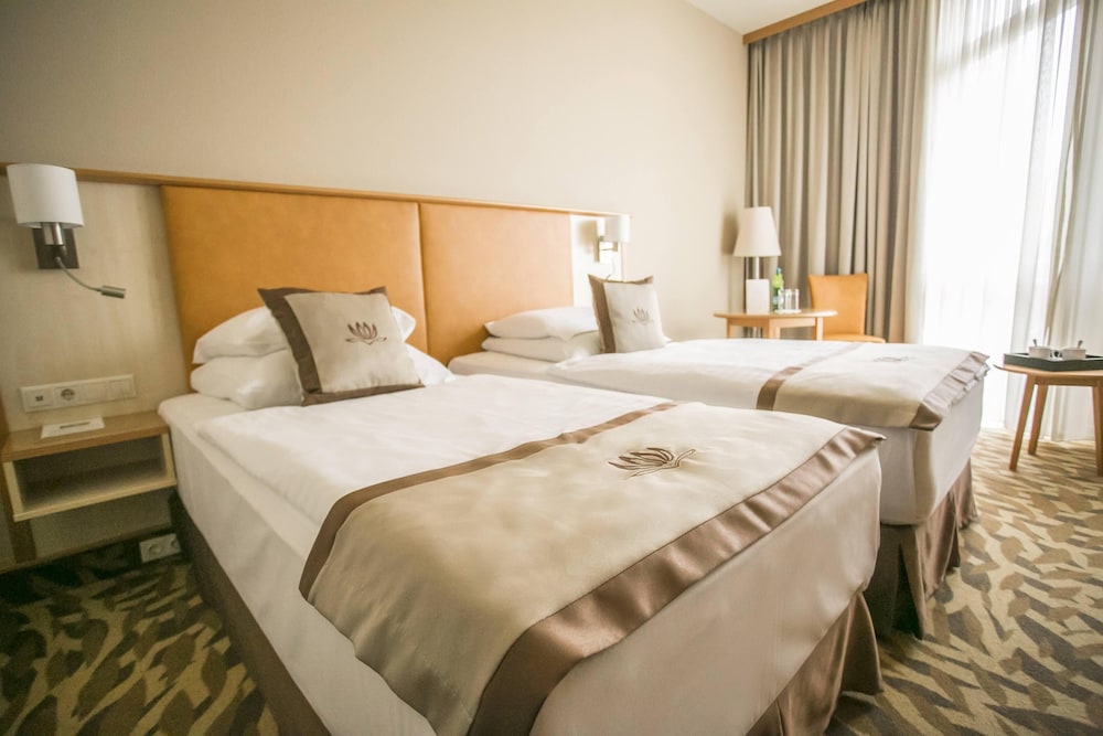 Junior Studio Suite, 1 Bedroom photo 3