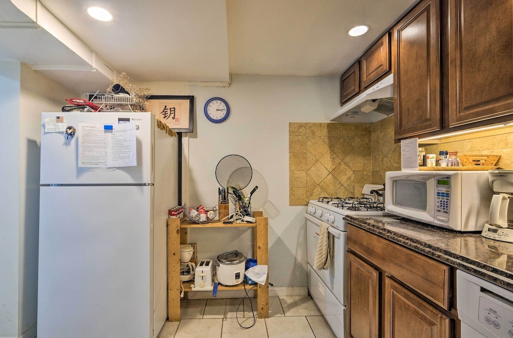 Apartment (1 Bedroom) photo 3