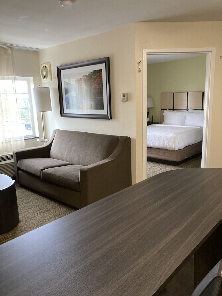Suite, 1 Bedroom - Photo 2
