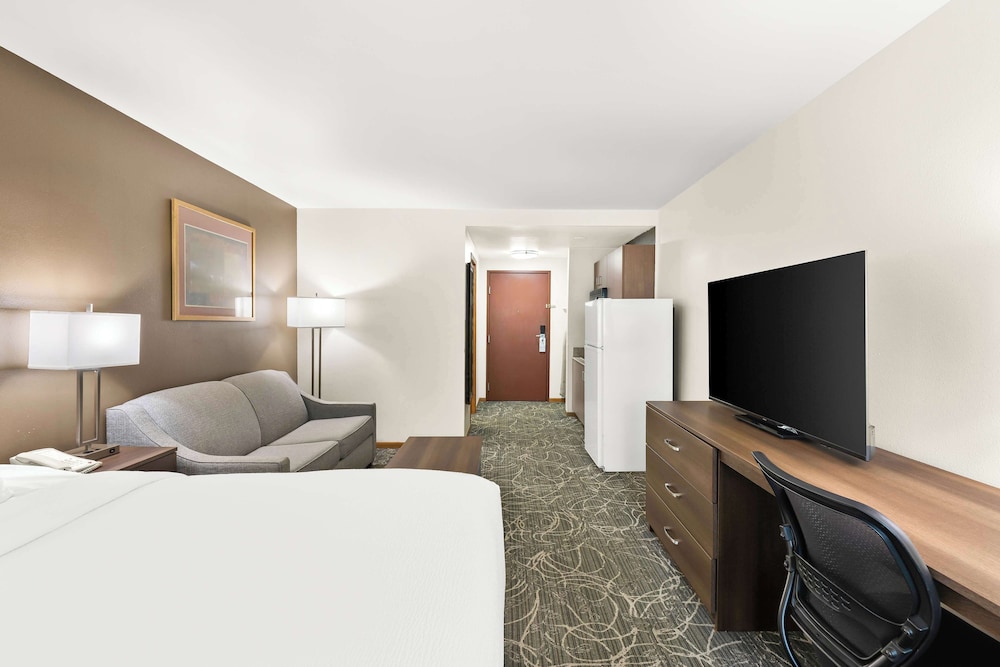 Standard Room, 1 King Bed, Non Smoking, Refrigerator & Microwave photo 2