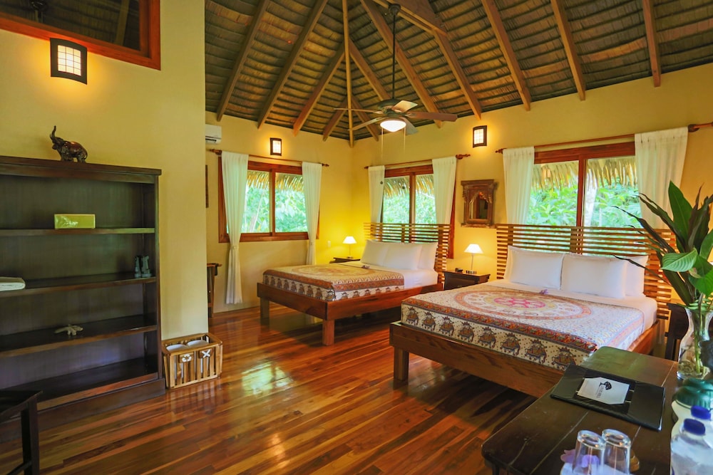 Luxury Studio Suite, 2 Queen Beds photo 2