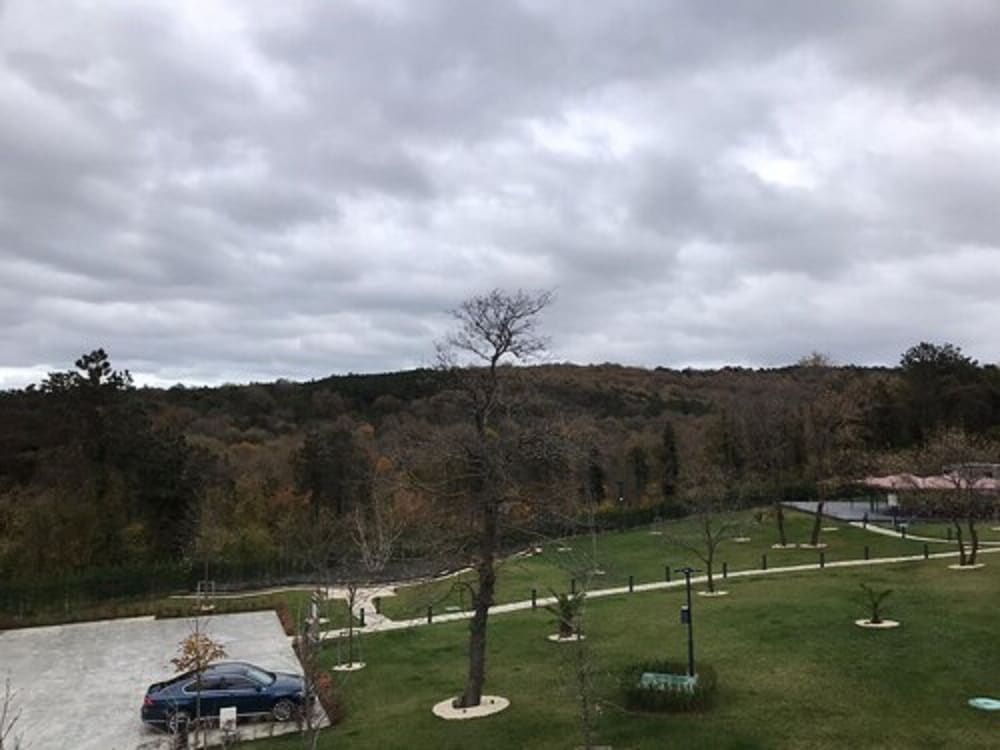 Standart Panoramic Room - Photo 5