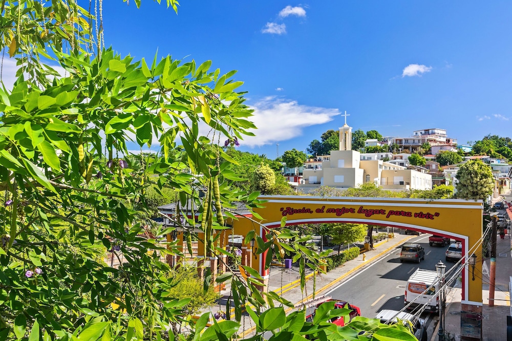 Standard Single Room, Balcony, Park View photo 3