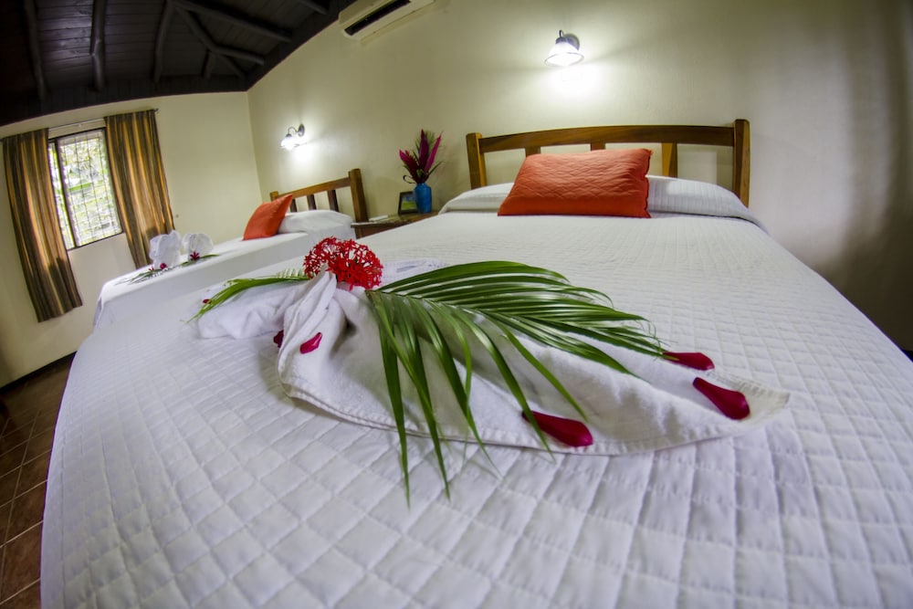 Superior Double Room, 2 Double Beds photo 2