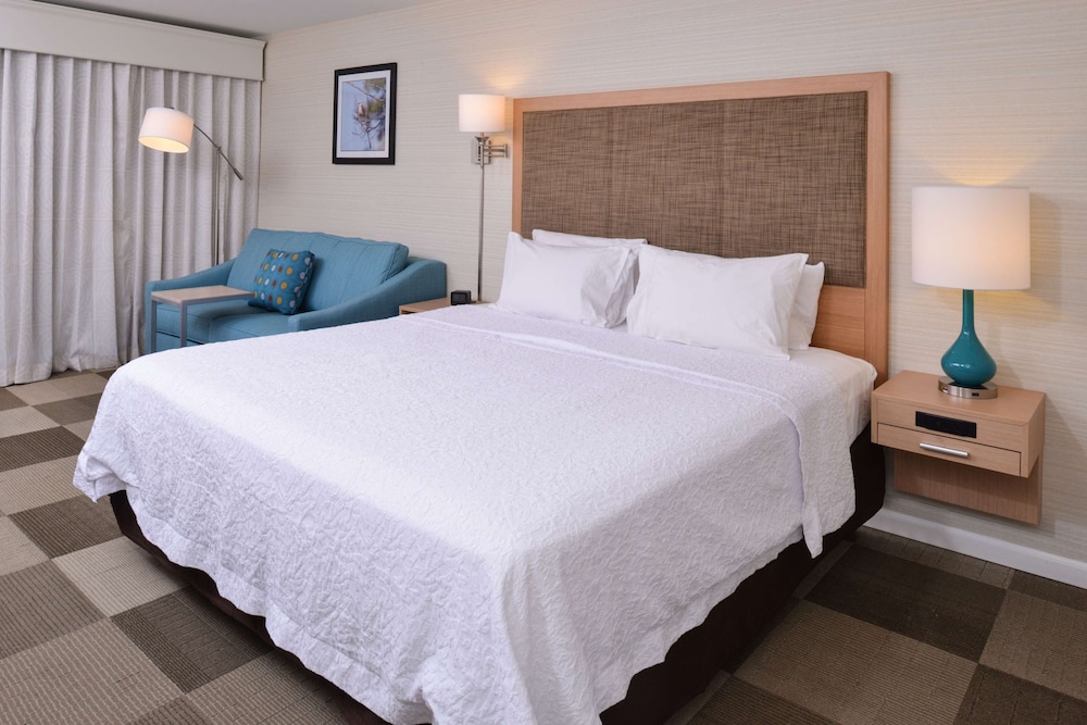 Room, 1 King Bed, Non Smoking, Refrigerator & Microwave (Large Room) - Photo 1