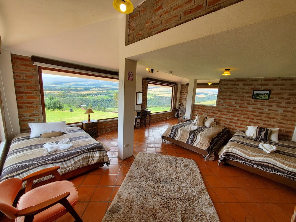 Family Room, Mountain View