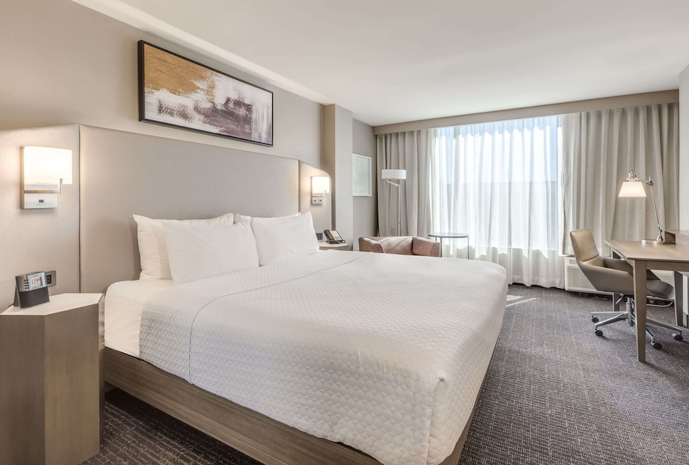 Suite, 1 King Bed - Photo 1