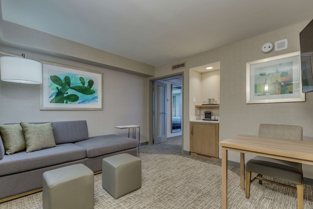 Suite, 1 King Bed, Accessible (Mobility & Hearing, Roll-in Shower)