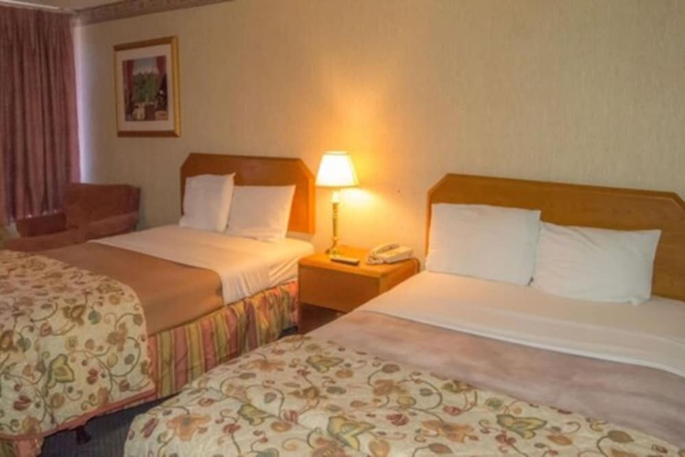 Standard Room, 2 Double Beds photo 1