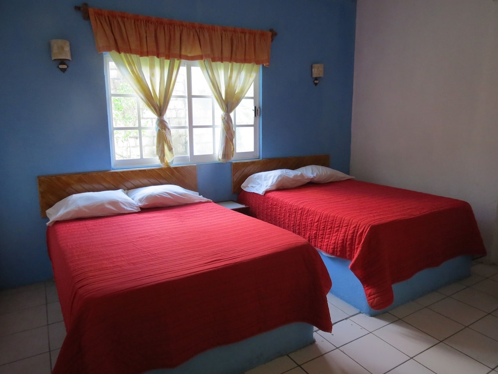 Superior Double Room photo 1