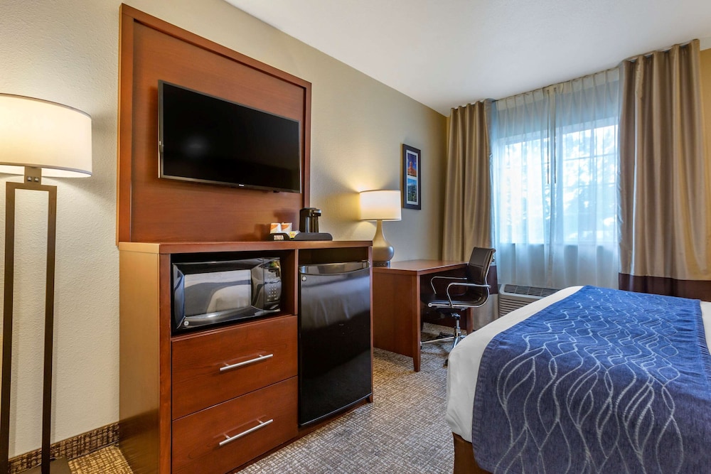 Standard Room, 1 King Bed, Non Smoking - Photo 4