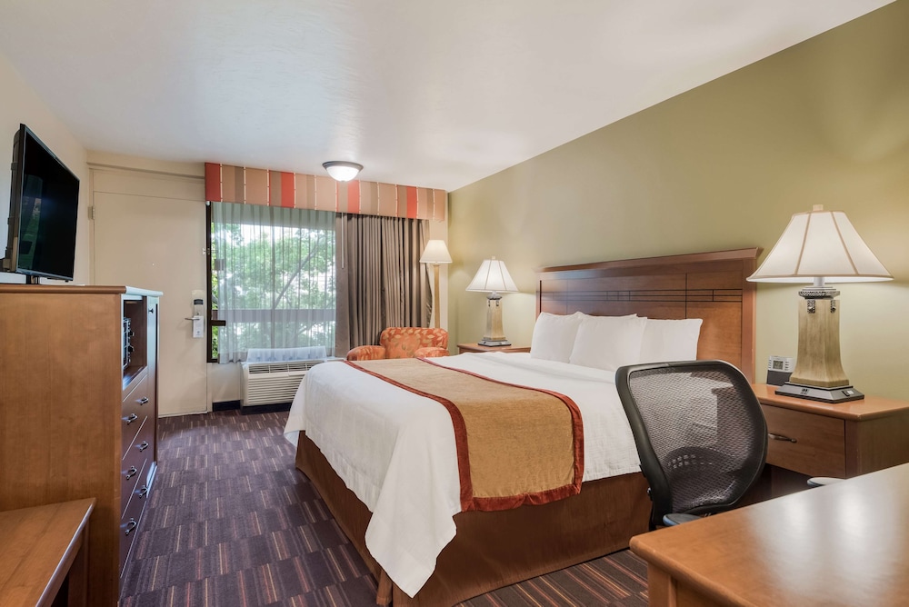 Standard Room, 1 King Bed, Non Smoking, Refrigerator & Microwave photo 3