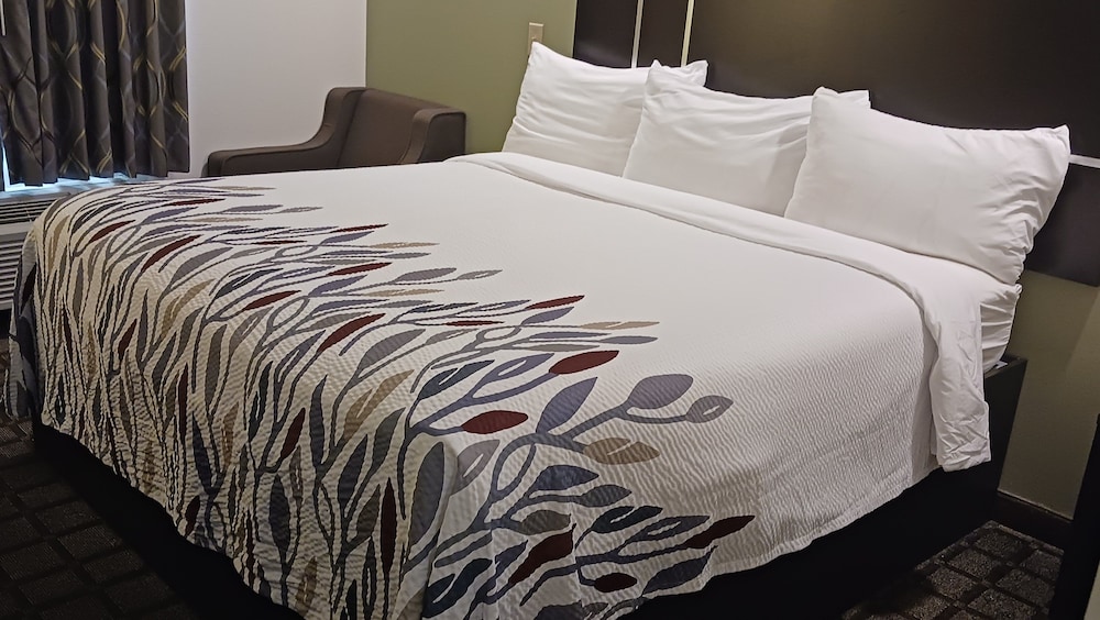 Superior Room, 1 King Bed, Accessible, Non Smoking (Kitchenette) - Photo 1