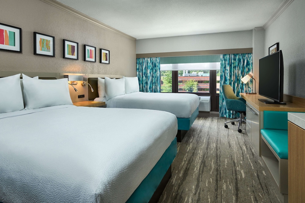Suite, 1 Bedroom, Non Smoking photo 3