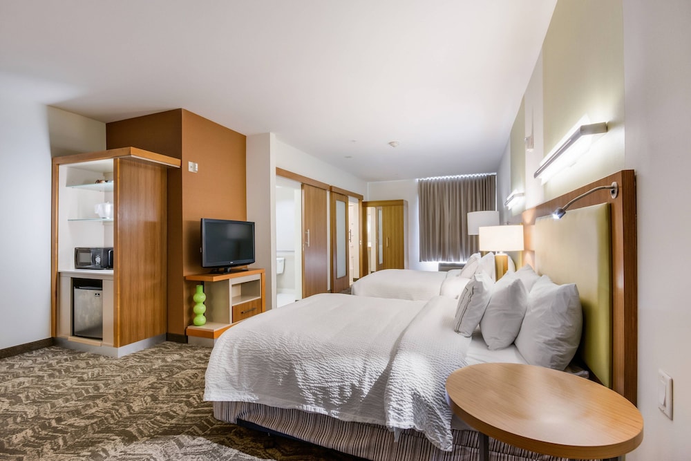 Suite, Multiple Beds (Mobility/Hearing Access, Roll-in Shwr) photo 1