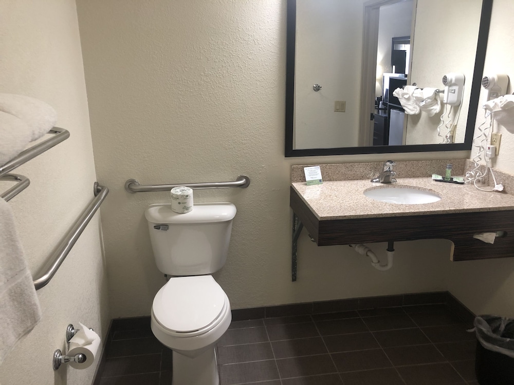 Standard Room, 2 Queen Beds, Non Smoking, Refrigerator & Microwave - Photo 9