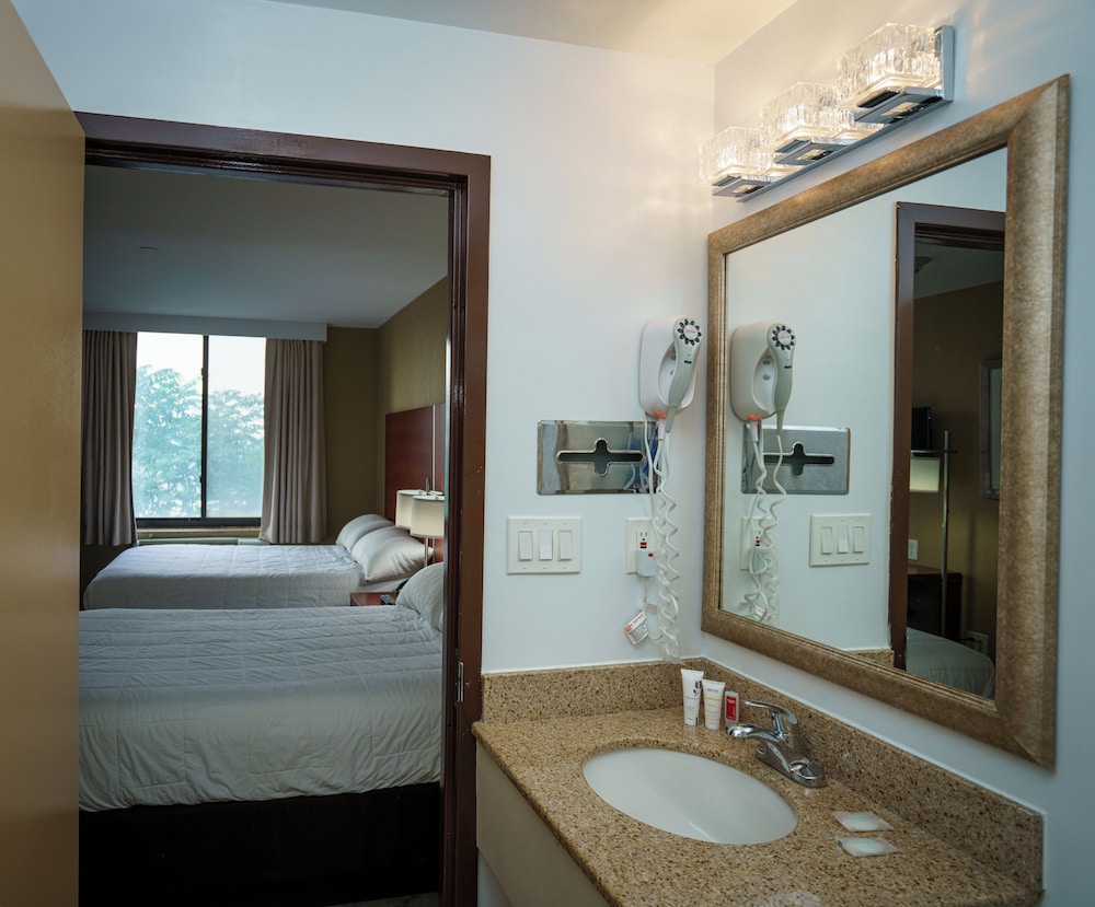 Business Suite photo 3