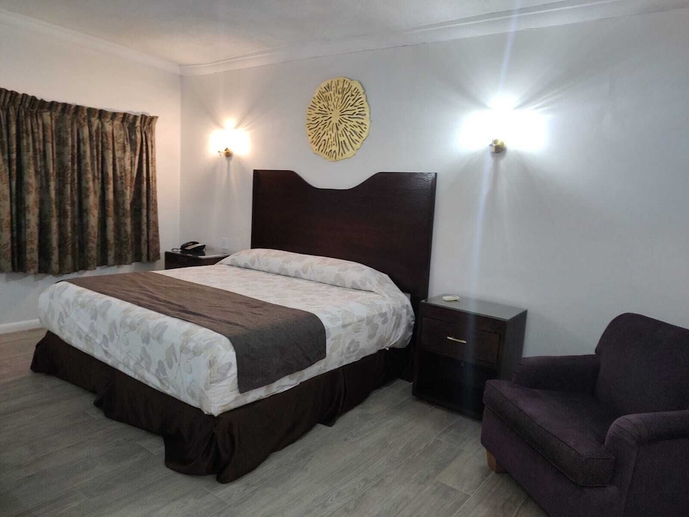 Standard Single Room, 1 King Bed photo 1