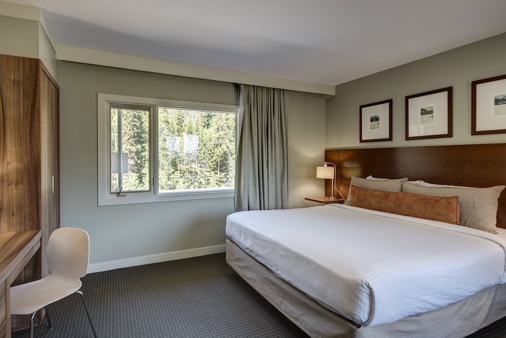 Panoramic Suite - Photo 11