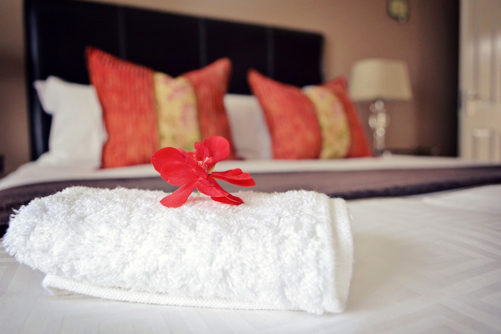 Double Room, 1 Queen Bed (№5) photo 1