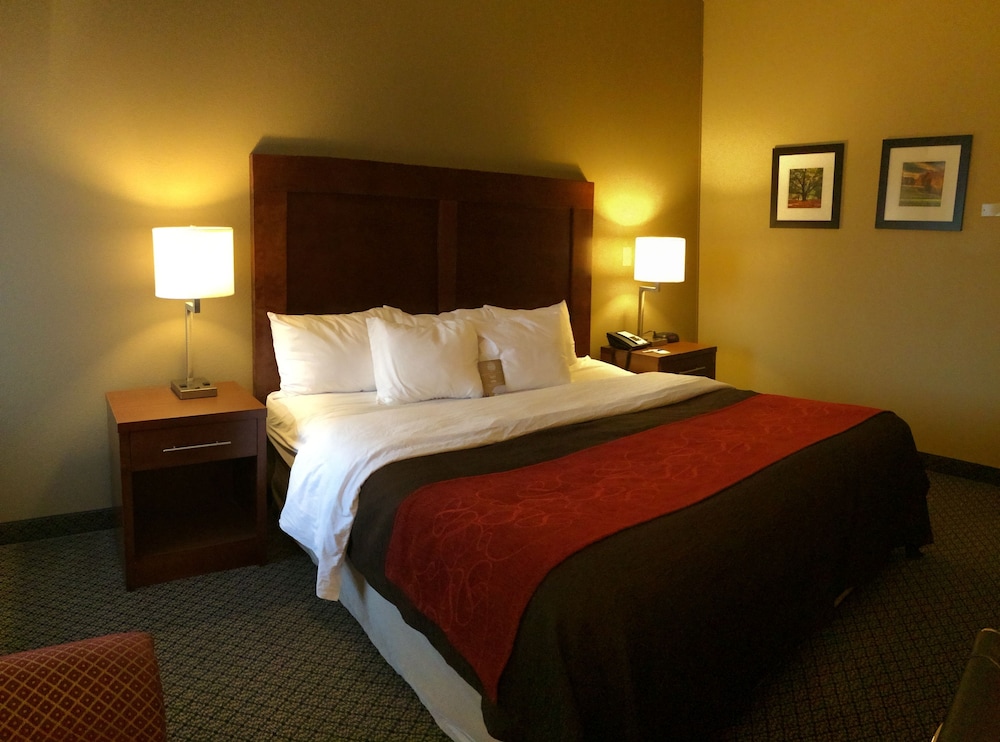 Room, 1 King Bed, Accessible, Non Smoking - Photo 1