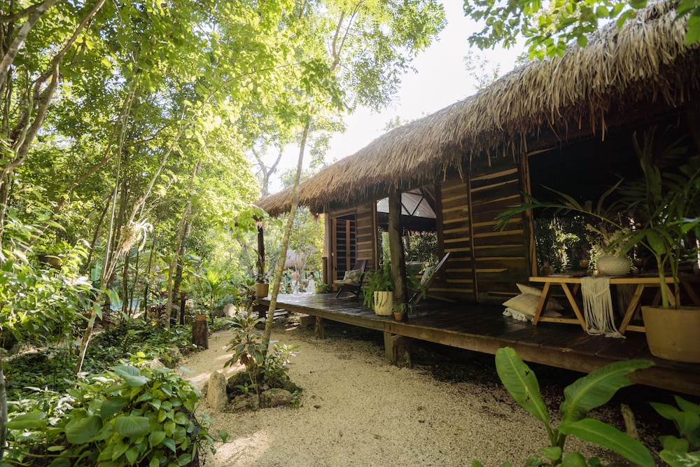 Panoramic Cabin photo 1