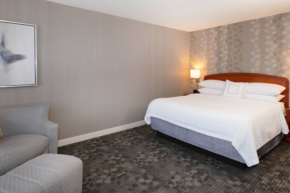 Suite, 1 King Bed with Sofa bed - Photo 5