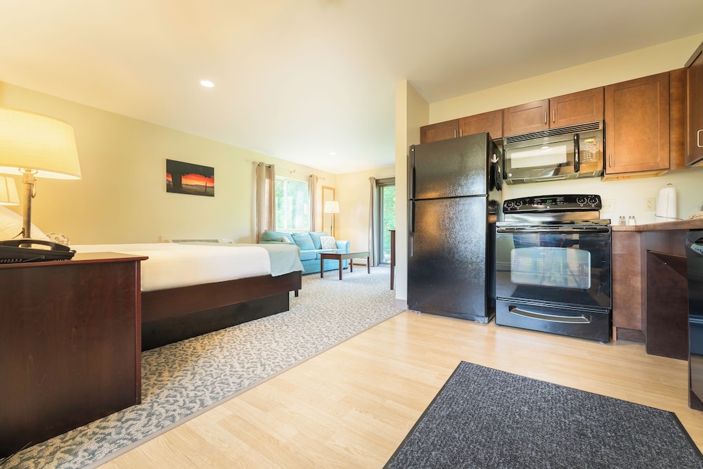 Deluxe studio suite, 1 king bed, sofa bed
