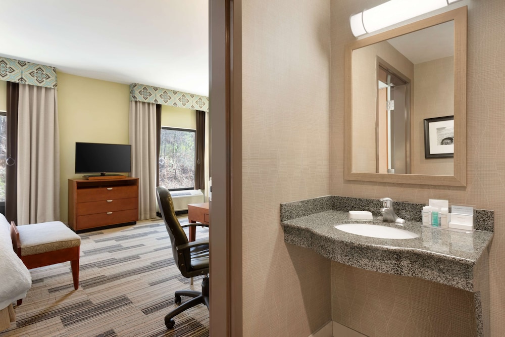Studio, 1 King Bed, Accessible (Mobility, Roll-in Shower) - Photo 5