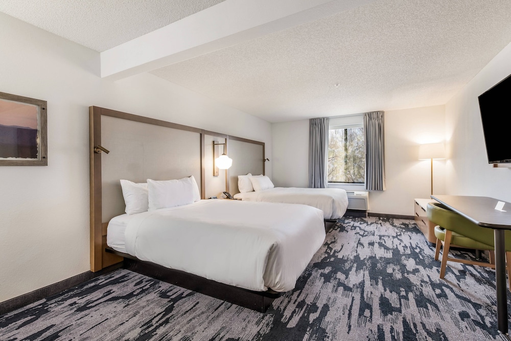 Suite, Multiple Beds photo 3