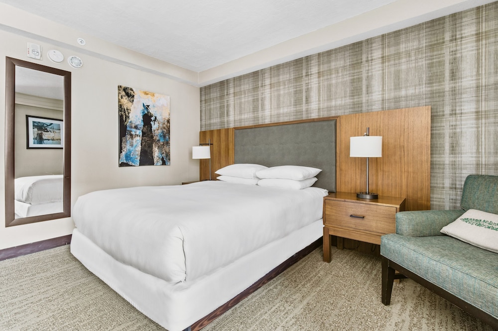 Room, 1 Queen Bed, Accessible, Non Smoking (Roll-in Shower) photo 2