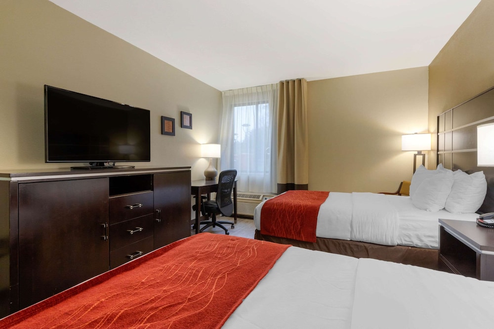 Comfort Inn North of Asheville, Billede 7
