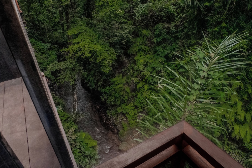 Luxury Villa, 1 Bedroom, River View - Photo 3