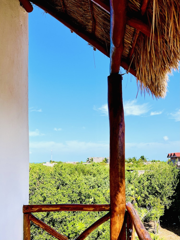 Suite, Ocean View photo 2