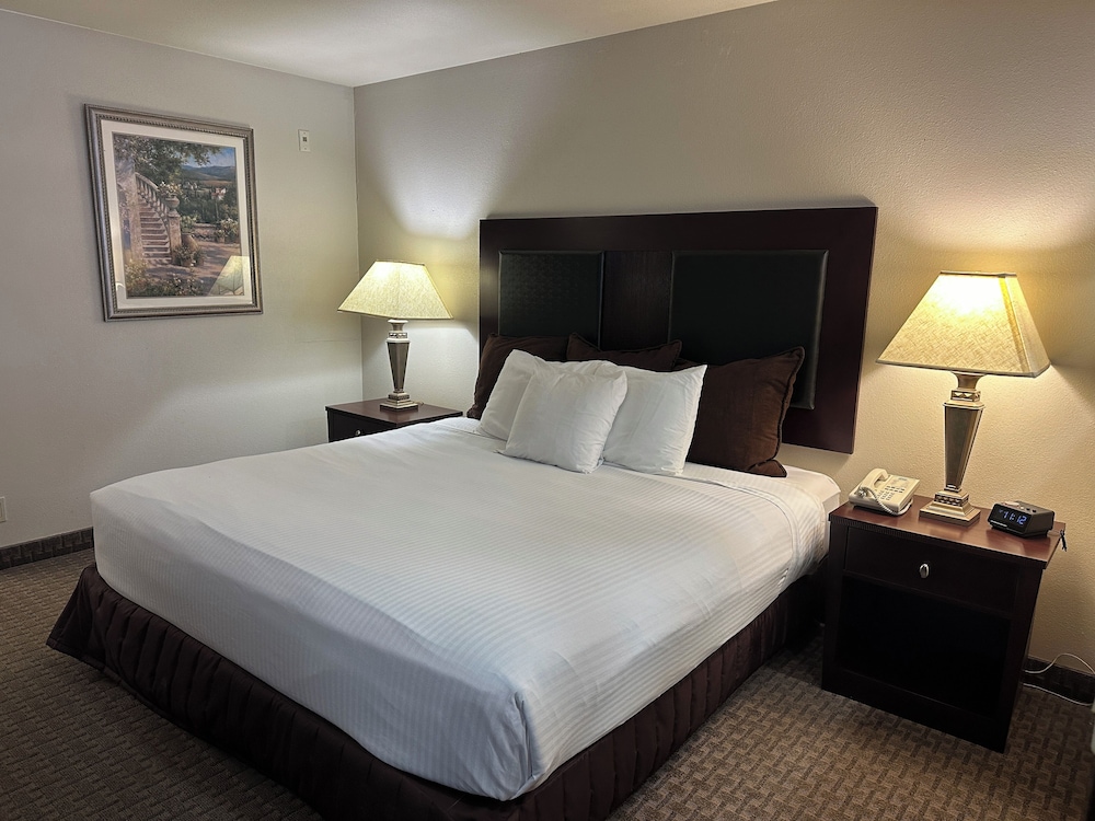 Junior Suite, 1 King Bed