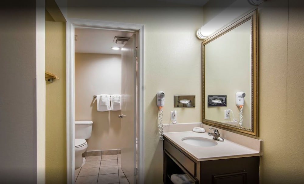 Classic Studio Suite, 1 King Bed, Non Smoking, Kitchen photo 3