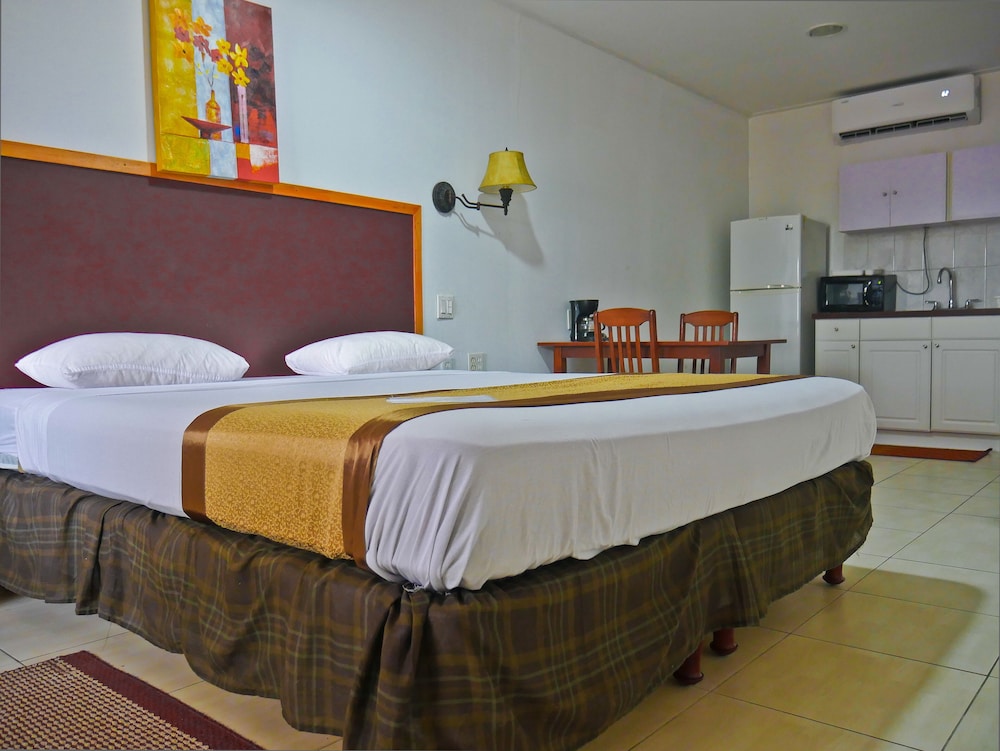 Deluxe Studio, 1 King Bed photo 2