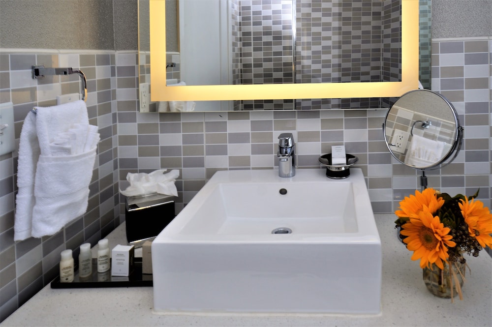 Suite, 1 Bedroom - Photo 9