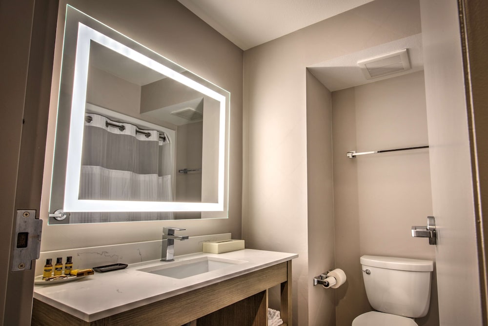 Business Room, 1 King Bed, Non Smoking, Refrigerator & Microwave photo 2