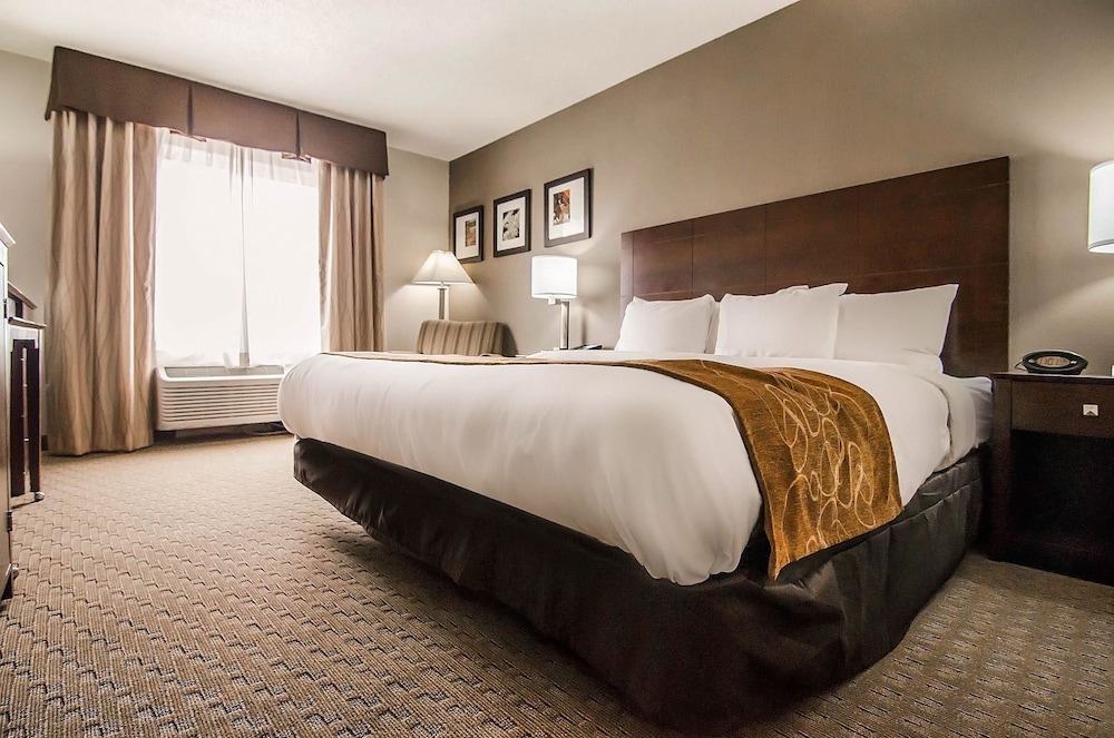 Suite, 1 King Bed, Non Smoking - Photo 11