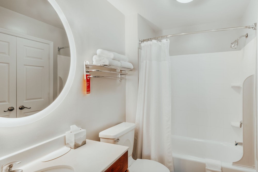 Suite, 1 Bedroom - Photo 3