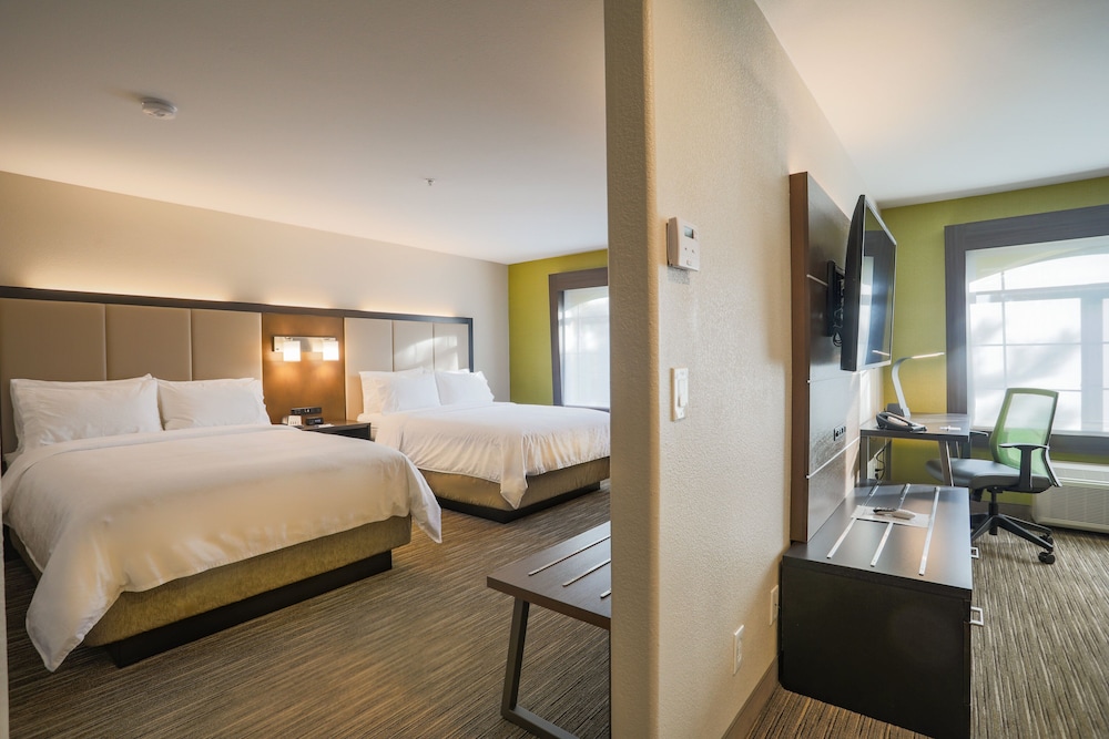 Suite, 1 Bedroom - Photo 4
