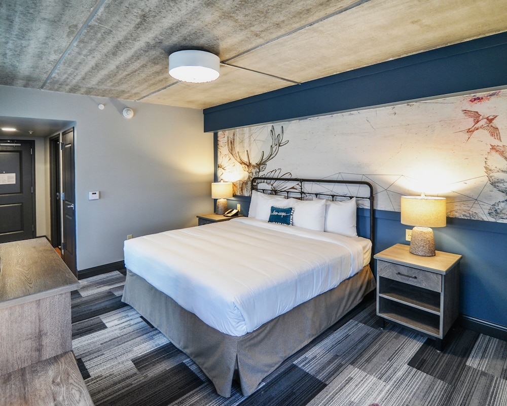 Deluxe Room, 1 King Bed, Non Smoking photo 2