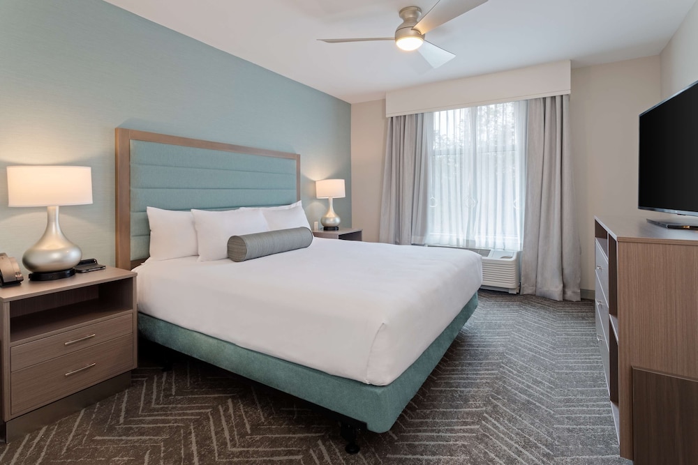 Suite, 1 Bedroom - Photo 4
